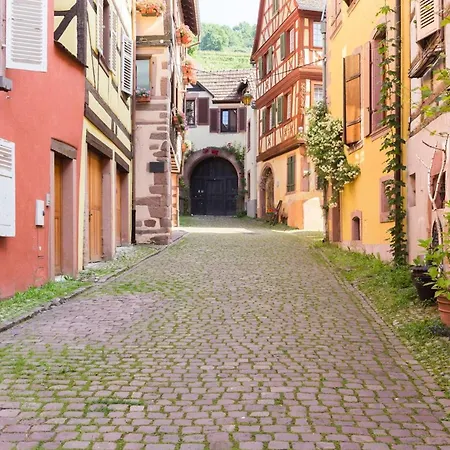 Le Avec Terrasse Et Piscine Kaysersberg-Vignoble