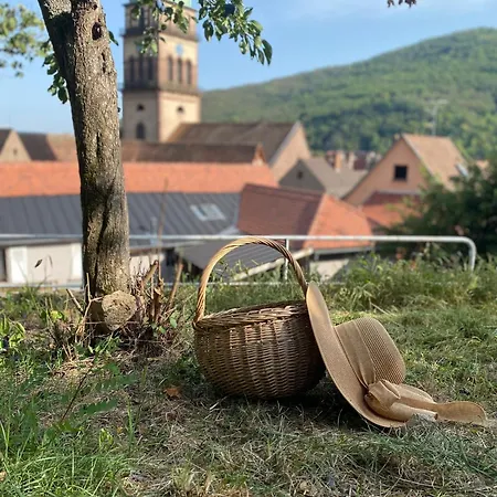 Дом отдыха Le Avec Terrasse Et Piscine